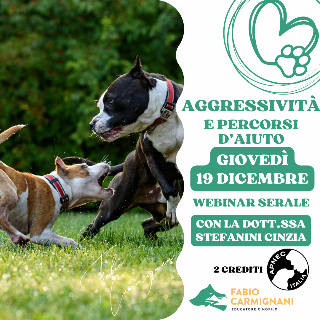 Webinar cinofilo: Aggresività e percorsi di aiuto